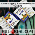Sunrise Pharmaceutical Tadalafil 12